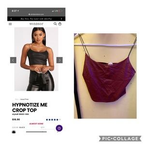 Snake Print Burgundy Crop Top